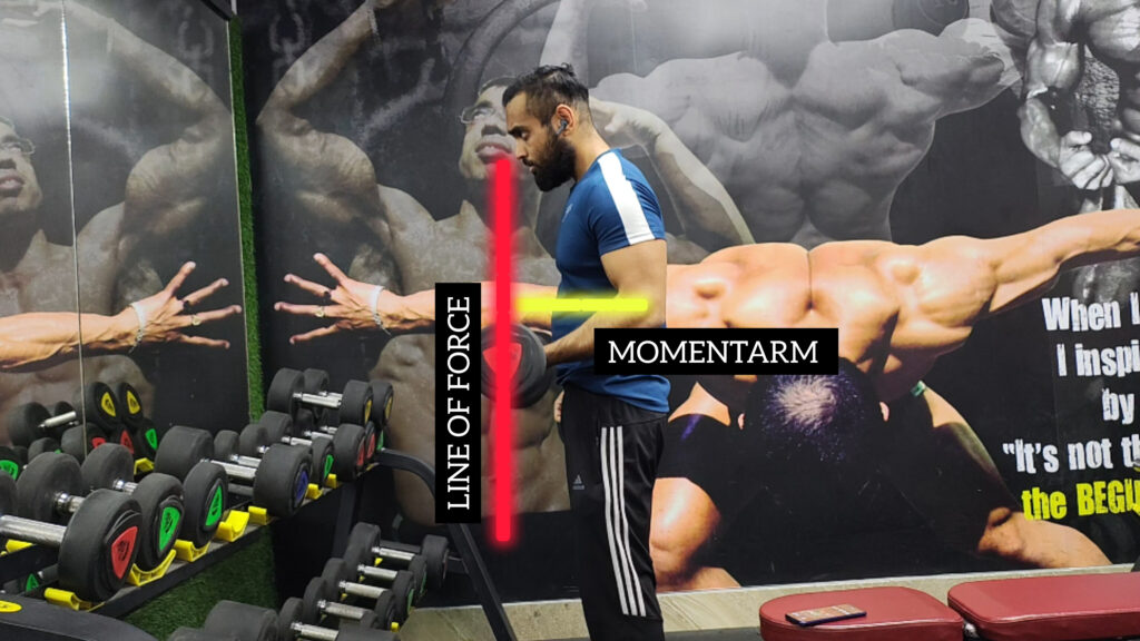 A person performing single-arm standing dumbbell bicep curl